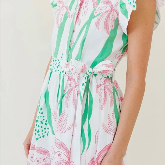 Sheridan French Worth Avenue Taylor dress.  Stunner and NWT. - Picture 5 of 6